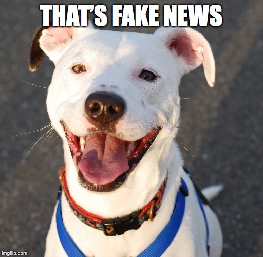 THAT’S FAKE NEWS | made w/ Imgflip meme maker