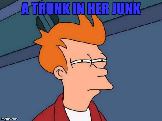 Futurama Fry Meme | A TRUNK IN HER JUNK | image tagged in memes,futurama fry | made w/ Imgflip meme maker