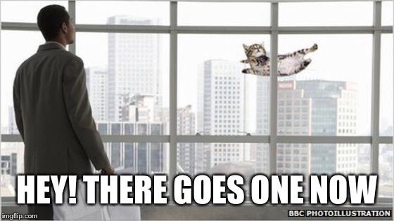 HEY! THERE GOES ONE NOW | made w/ Imgflip meme maker