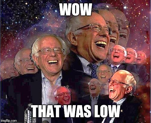 Bernie Laff | WOW THAT WAS LOW | image tagged in bernie laff | made w/ Imgflip meme maker