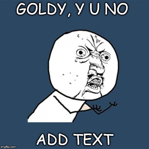 Y U No Meme | GOLDY, Y U NO ADD TEXT | image tagged in memes,y u no | made w/ Imgflip meme maker