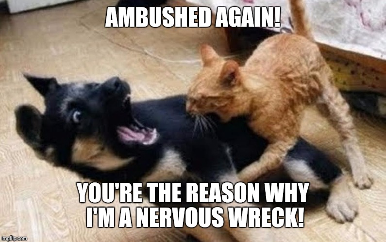 AMBUSHED AGAIN! YOU'RE THE REASON WHY I'M A NERVOUS WRECK! | made w/ Imgflip meme maker