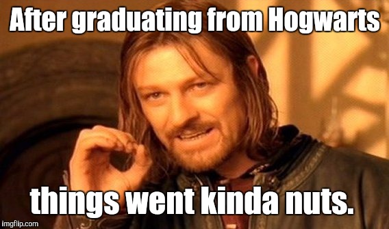 One Does Not Simply Meme | After graduating from Hogwarts things went kinda nuts. | image tagged in memes,one does not simply | made w/ Imgflip meme maker