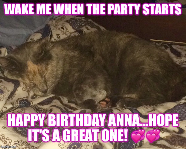 Sleepy kitty | WAKE ME WHEN THE PARTY STARTS; HAPPY BIRTHDAY ANNA...HOPE IT'S A GREAT ONE! 💞💞 | image tagged in happy birthday | made w/ Imgflip meme maker