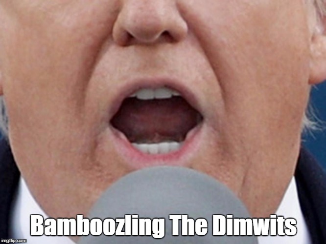 Bamboozling The Dimwits | made w/ Imgflip meme maker