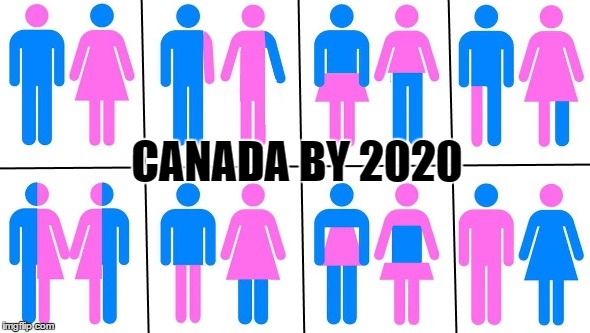 Canada 2020 | CANADA BY 2020 | image tagged in feminism,transgender,canada | made w/ Imgflip meme maker