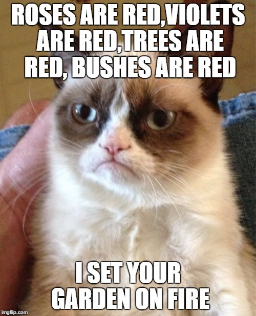 Grumpy Cat | ROSES ARE RED,VIOLETS ARE RED,TREES ARE RED, BUSHES ARE RED; I SET YOUR GARDEN ON FIRE | image tagged in memes,grumpy cat | made w/ Imgflip meme maker