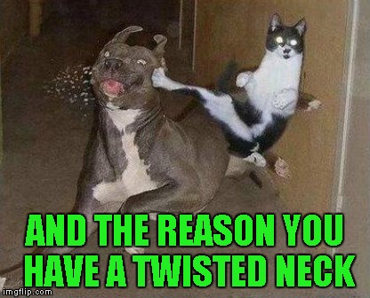 AND THE REASON YOU HAVE A TWISTED NECK | made w/ Imgflip meme maker