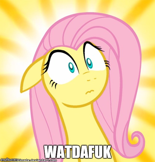 Shocked Fluttershy | WATDAFUK | image tagged in shocked fluttershy | made w/ Imgflip meme maker