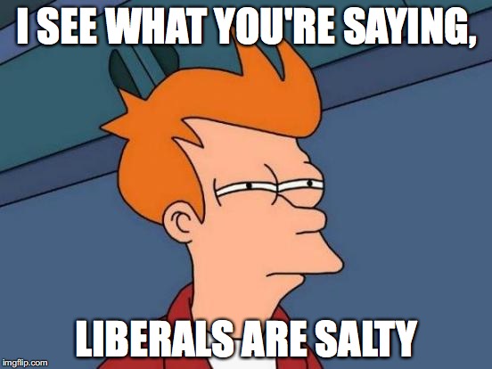 Futurama Fry Meme | I SEE WHAT YOU'RE SAYING, LIBERALS ARE SALTY | image tagged in memes,futurama fry | made w/ Imgflip meme maker