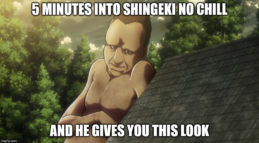 Shingeki no Chill | 5 MINUTES INTO SHINGEKI NO CHILL; AND HE GIVES YOU THIS LOOK | image tagged in shingeki no kyojin,netflix and chill,netflix,anime | made w/ Imgflip meme maker