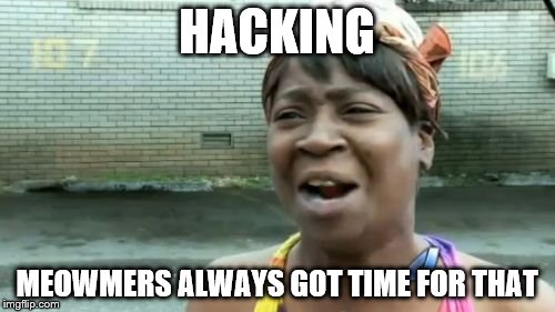 Ain't Nobody Got Time For That Meme | HACKING MEOWMERS ALWAYS GOT TIME FOR THAT | image tagged in memes,aint nobody got time for that | made w/ Imgflip meme maker