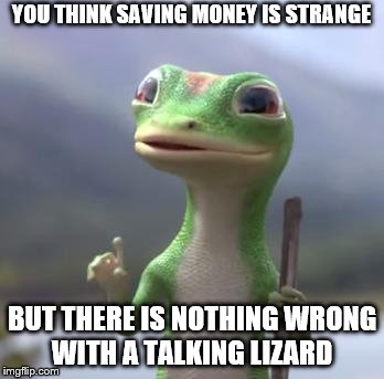 Geico Gecko | YOU THINK SAVING MONEY IS STRANGE; BUT THERE IS NOTHING WRONG WITH A TALKING LIZARD | image tagged in geico gecko | made w/ Imgflip meme maker