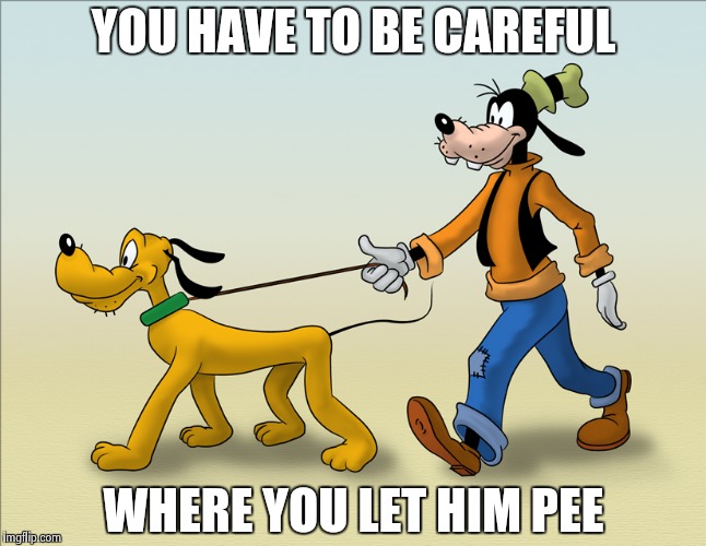 YOU HAVE TO BE CAREFUL WHERE YOU LET HIM PEE | image tagged in goofy and pluto | made w/ Imgflip meme maker