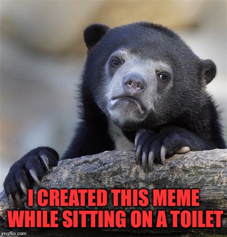 No joke | I CREATED THIS MEME WHILE SITTING ON A TOILET | image tagged in memes,confession bear,serious | made w/ Imgflip meme maker