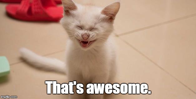 Cat Laughing | That's awesome. | image tagged in cat laughing | made w/ Imgflip meme maker