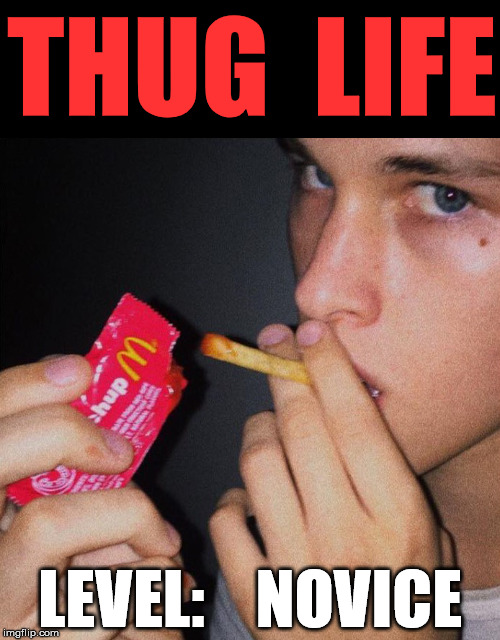 THUG  LIFE; LEVEL:    NOVICE | image tagged in memes,funny,first world problems,thug life,bad luck | made w/ Imgflip meme maker