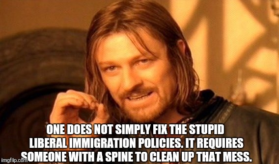 One Does Not Simply Meme | ONE DOES NOT SIMPLY FIX THE STUPID LIBERAL IMMIGRATION POLICIES. IT REQUIRES SOMEONE WITH A SPINE TO CLEAN UP THAT MESS. | image tagged in memes,one does not simply | made w/ Imgflip meme maker
