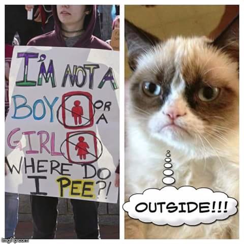 Grump Cats answer the the Bathroom Question |  . | image tagged in grumpy cat,memes,transgender bathroom | made w/ Imgflip meme maker