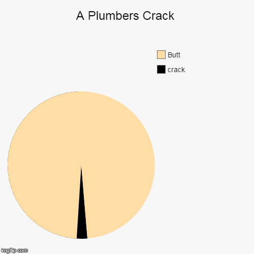 99% of plumbers have this | image tagged in funny,pie charts,plumbers crack | made w/ Imgflip chart maker