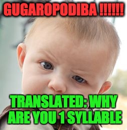 THE TRANSLATION | GUGAROPODIBA !!!!!! TRANSLATED: WHY ARE YOU 1 SYLLABLE | image tagged in memes,skeptical baby | made w/ Imgflip meme maker