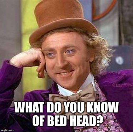Creepy Condescending Wonka Meme | WHAT DO YOU KNOW OF BED HEAD? | image tagged in memes,creepy condescending wonka | made w/ Imgflip meme maker