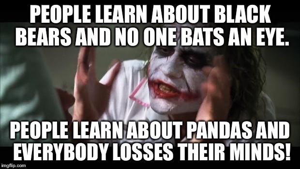 And everybody loses their minds Meme | PEOPLE LEARN ABOUT BLACK BEARS AND NO ONE BATS AN EYE. PEOPLE LEARN ABOUT PANDAS AND EVERYBODY LOSSES THEIR MINDS! | image tagged in memes,and everybody loses their minds | made w/ Imgflip meme maker