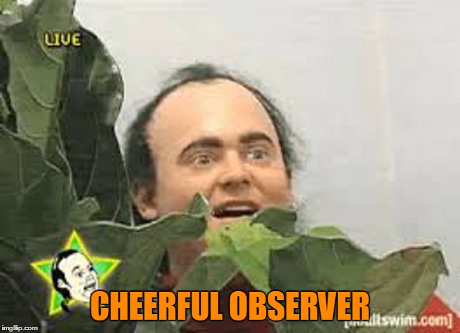 CHEERFUL OBSERVER | made w/ Imgflip meme maker