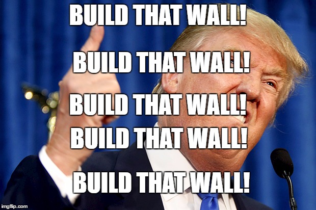 Donald Trump | BUILD THAT WALL! BUILD THAT WALL! BUILD THAT WALL! BUILD THAT WALL! BUILD THAT WALL! | image tagged in donald trump | made w/ Imgflip meme maker
