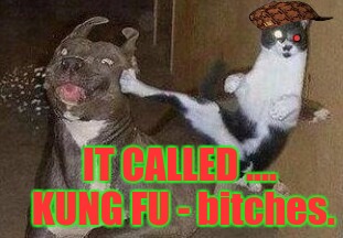 IT CALLED .... KUNG FU - b**ches. | made w/ Imgflip meme maker