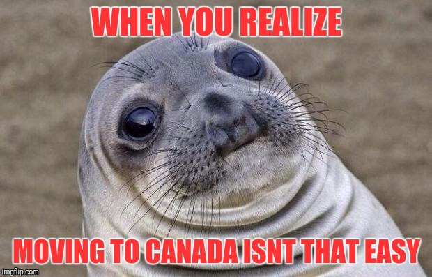 Good weather for ❄ | WHEN YOU REALIZE; MOVING TO CANADA ISNT THAT EASY | image tagged in memes,awkward moment sealion | made w/ Imgflip meme maker