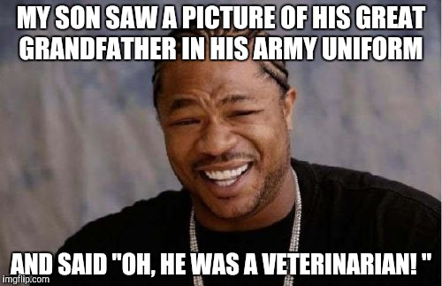 Veteran. Veterinarian. Same thing. | MY SON SAW A PICTURE OF HIS GREAT GRANDFATHER IN HIS ARMY UNIFORM; AND SAID "OH, HE WAS A VETERINARIAN! " | image tagged in memes,yo dawg heard you | made w/ Imgflip meme maker