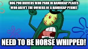 DOG POO DRIVERS WHO PARK IN HANDICAP PLACES WHO AREN'T THE OWNERS OF A HANDICAP PERMIT; NEED TO BE HORSE WHIPPED! | image tagged in abusers among us | made w/ Imgflip meme maker