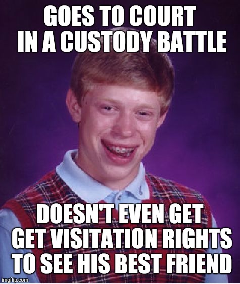 Bad Luck Brian Meme | GOES TO COURT IN A CUSTODY BATTLE DOESN'T EVEN GET GET VISITATION RIGHTS TO SEE HIS BEST FRIEND | image tagged in memes,bad luck brian | made w/ Imgflip meme maker