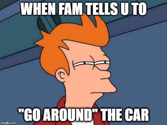 Futurama Fry Meme | WHEN FAM TELLS U TO; "GO AROUND" THE CAR | image tagged in memes,futurama fry | made w/ Imgflip meme maker