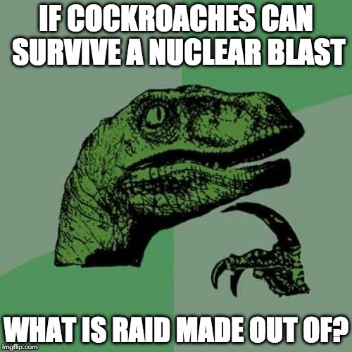 I need answers! | IF COCKROACHES CAN SURVIVE A NUCLEAR BLAST; WHAT IS RAID MADE OUT OF? | image tagged in memes,philosoraptor,cockroach,bacon,raid | made w/ Imgflip meme maker
