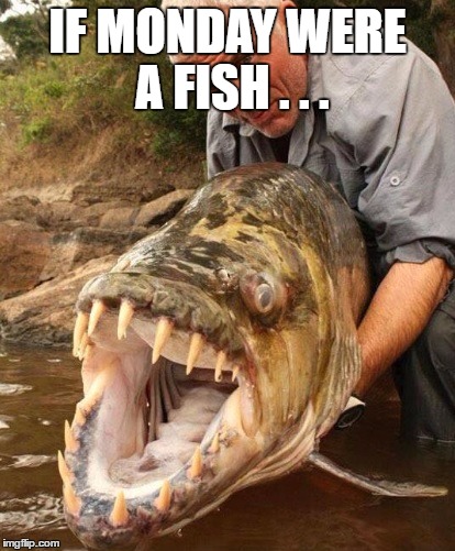 IF MONDAY WERE A FISH . . . | image tagged in monday | made w/ Imgflip meme maker