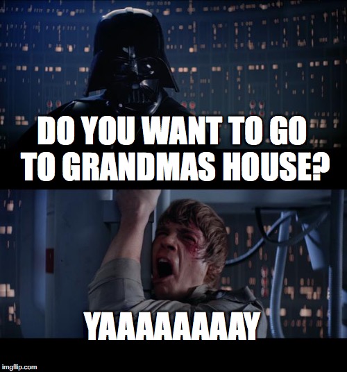 Star Wars No Meme | DO YOU WANT TO GO TO GRANDMAS HOUSE? YAAAAAAAAY | image tagged in memes,star wars no | made w/ Imgflip meme maker