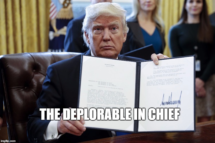 Donald Trump Executive Order | THE DEPLORABLE IN CHIEF | image tagged in donald trump executive order | made w/ Imgflip meme maker