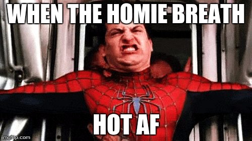 Need a mint? | WHEN THE HOMIE BREATH; HOT AF | image tagged in spiderman,spiderman cringe | made w/ Imgflip meme maker