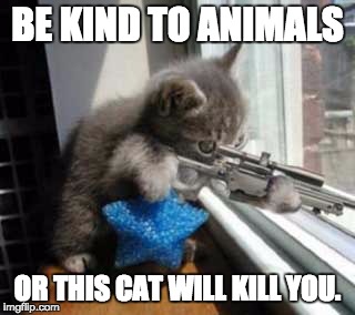 Gun cat  | BE KIND TO ANIMALS; OR THIS CAT WILL KILL YOU. | image tagged in gun cat | made w/ Imgflip meme maker