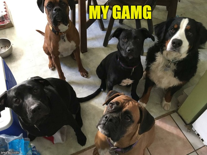 MY GAMG | made w/ Imgflip meme maker