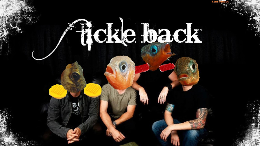 stickleback | image tagged in nickelback,stickleback,fish,useless,silly | made w/ Imgflip meme maker
