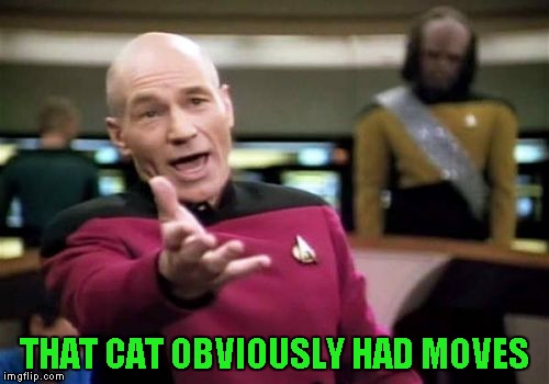 Picard Wtf Meme | THAT CAT OBVIOUSLY HAD MOVES | image tagged in memes,picard wtf | made w/ Imgflip meme maker