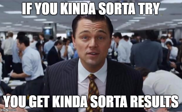 wolf of wall street  | IF YOU KINDA SORTA TRY; YOU GET KINDA SORTA RESULTS | image tagged in wolf of wall street | made w/ Imgflip meme maker