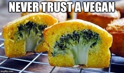 NEVER TRUST A VEGAN | image tagged in vegan | made w/ Imgflip meme maker