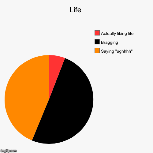 image tagged in funny,pie charts | made w/ Imgflip chart maker