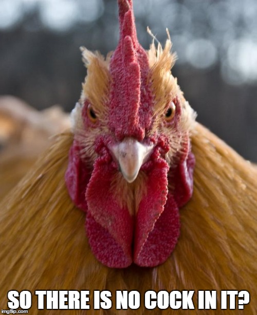 Angry Chicken | SO THERE IS NO COCK IN IT? | image tagged in angry chicken | made w/ Imgflip meme maker
