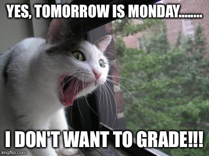 Screaming Cat | YES, TOMORROW IS MONDAY........ I DON'T WANT TO GRADE!!! | image tagged in screaming cat | made w/ Imgflip meme maker