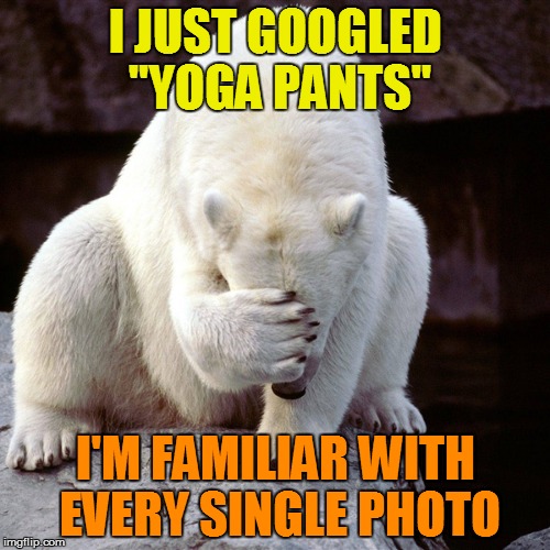 Thank you, Yoga Pants Weeks :P | I JUST GOOGLED "YOGA PANTS"; I'M FAMILIAR WITH EVERY SINGLE PHOTO | image tagged in memes,yoga pants week,yoga pants week extended edition,facepalm bear | made w/ Imgflip meme maker